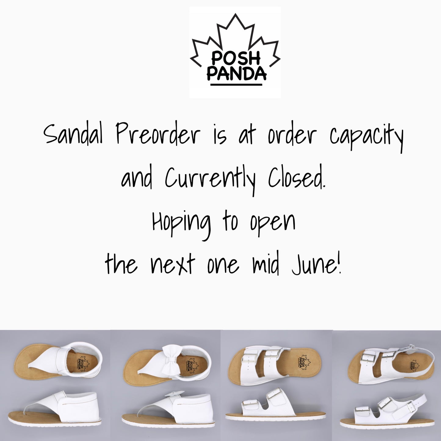 Sandal Preorder